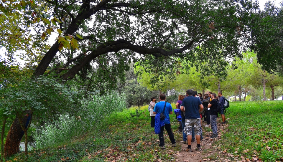 Itinerari: El bosc de Santiga .04/10/2015. Foto: Jordi Guillamón