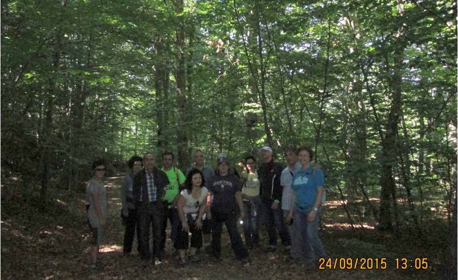 Itinerari: Descobrint la biodiversitat forestal de les Guilleries. 24/09/2015. Foto: Teresa Saló
