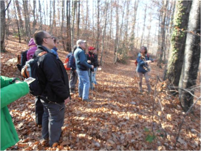 Itinerari: Descobrint la biodiversitat forestal de les Guilleries. 19/12/2015. Foto: Montserrat Moya