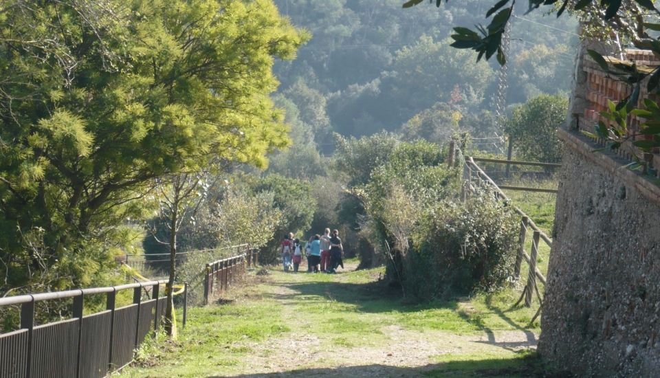 Itinerari: Can Coll, el Centre d'Educació Ambiental del Parc Natural de la Serra de Collserola. 7/11/2015. Foto: Roser Armendares i Teresa Canyellas